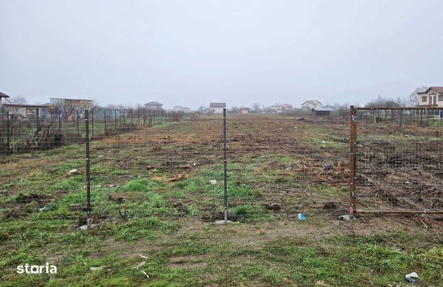 Teren intravilan, Ciorogarla, Magnoliei - 2