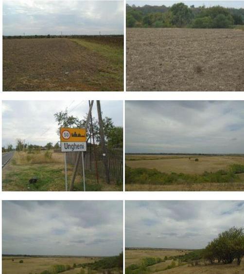 Teren extravilan 5000 mp, Com Ungheni, Jud Arges - 2