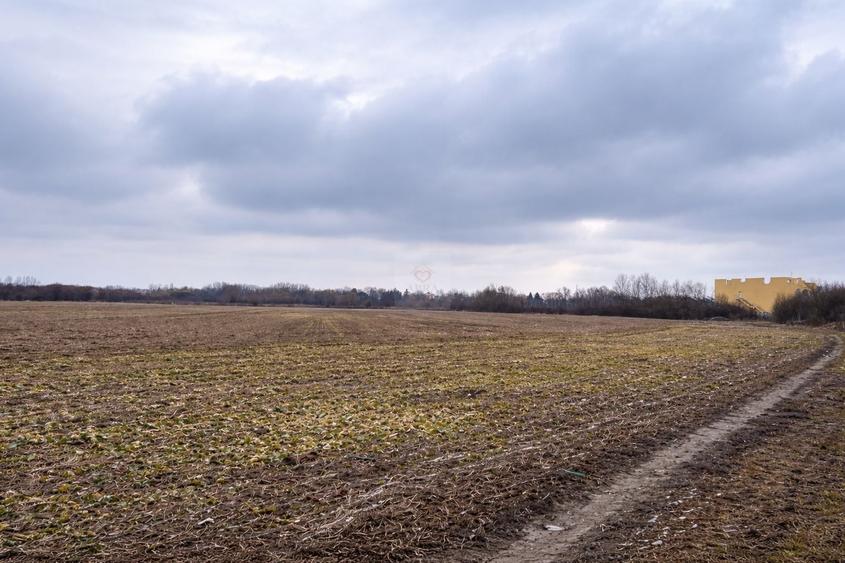 Teren Gruiu Snagov investitie vile REDUCERE - 1