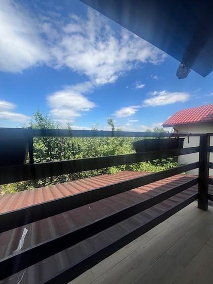 Duplex de vanzare,Domnesti - 11