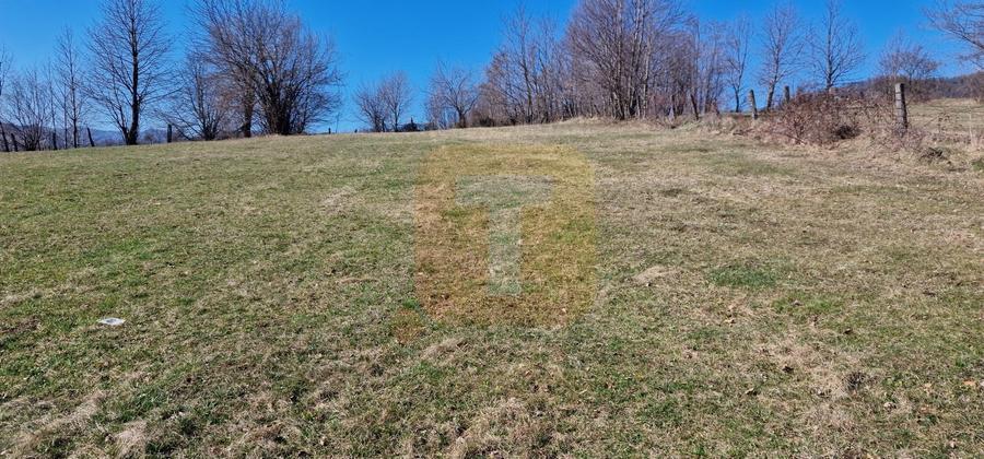 Teren intravilan de 4.000 mp în Bistrița – Alexandru cel Bun - 7