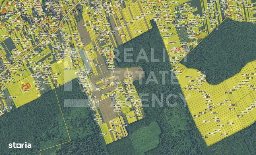 Teren extravilan de vanzare 7777 mp, Snagov (Ilfov) - 2
