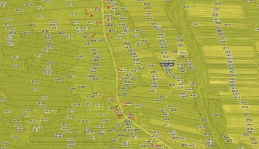 Teren extravilan, loc. Bustuchin, Jud Gorj - 3