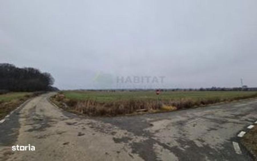 30700mp in Comuna Ciolpani | Extravilan - 6