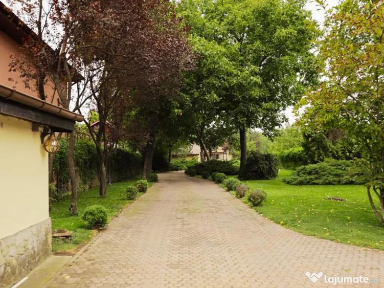 Buftea teren superb 800 mp lotizare posibila + AConstruire P+E - 9