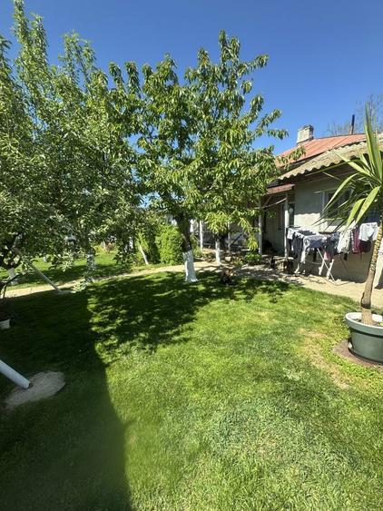 Vand casa + 2100 mp teren Frumusani - 3