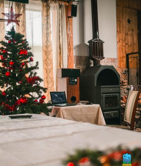 Pensiune 8 dormitoare Gureni, Gorj - 6