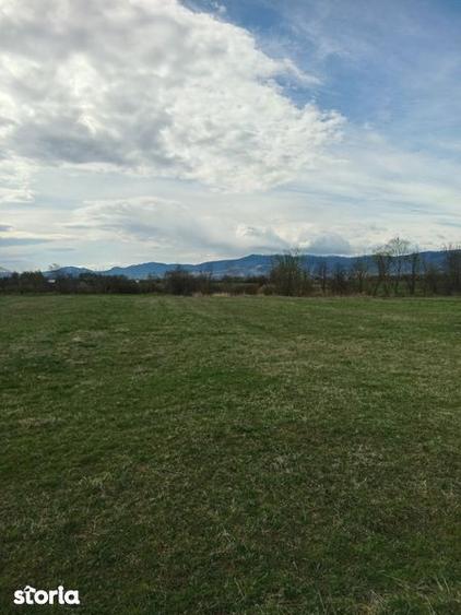 Teren de vinzare vicovu de sus 350 euro - 1