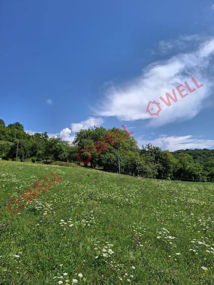 De vânzare teren intravilan de 7.600 m² situat în Sovata, pe strada Alunei (Mogy - 2