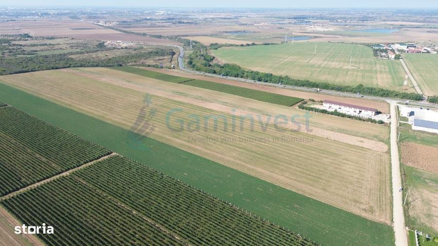 Teren intravilan de vanzare, langa Oradea, Bihor, Gaminvest, V4117 - 15