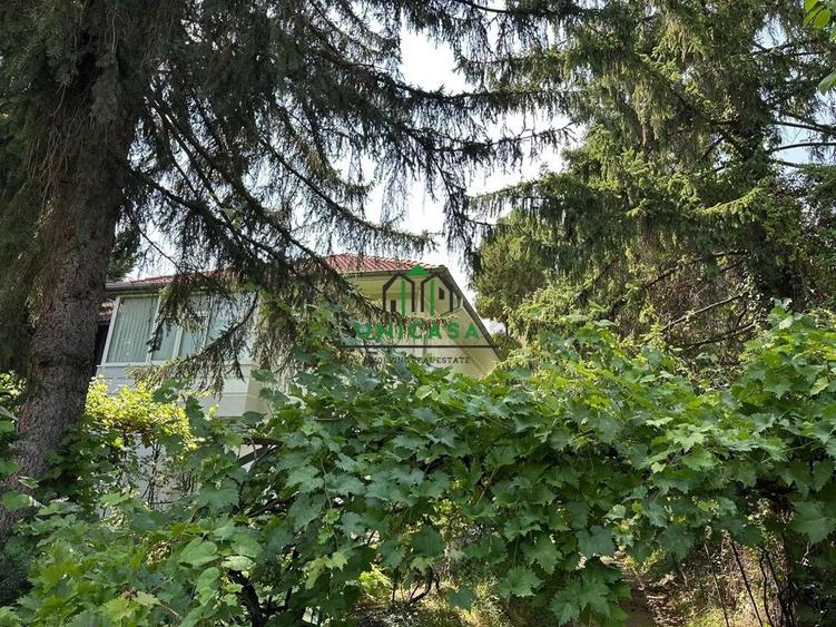 Casa si teren - Zona Ultracentrala - 5