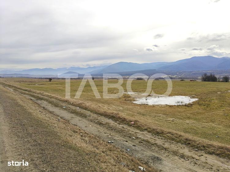 Teren intravilan 10000 mp cu acces din DN 1 - COMISION 0 - 1