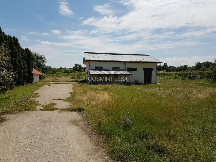 Casa 141mp, teren 6.000 mp, Cateasca - Gruiu