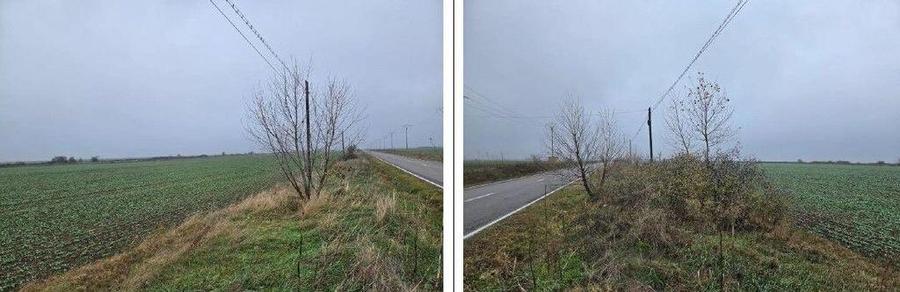 Teren Budesti, ID: R2362337 - 1