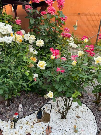 Casa in Cartierul Unirii - 10