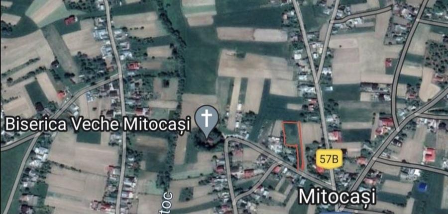 Teren Mitocas, Mitocul Dragomirnei - 1