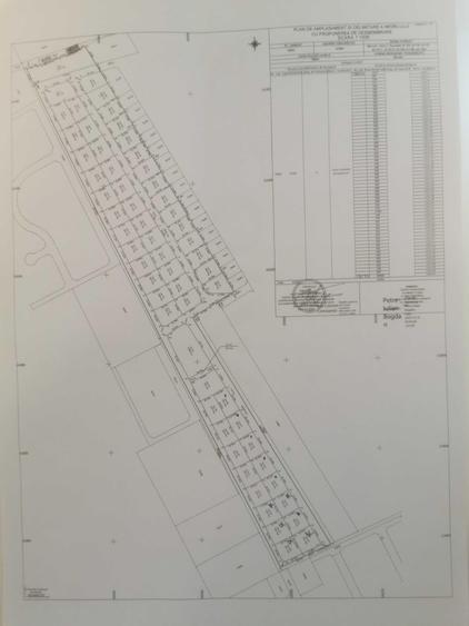 Loturi Intravilane situate pe strada MIORITA - 1