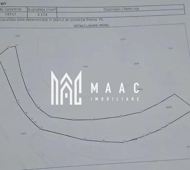 Teren cu potențial turistic I 3200 MP | TransApuseana - 5