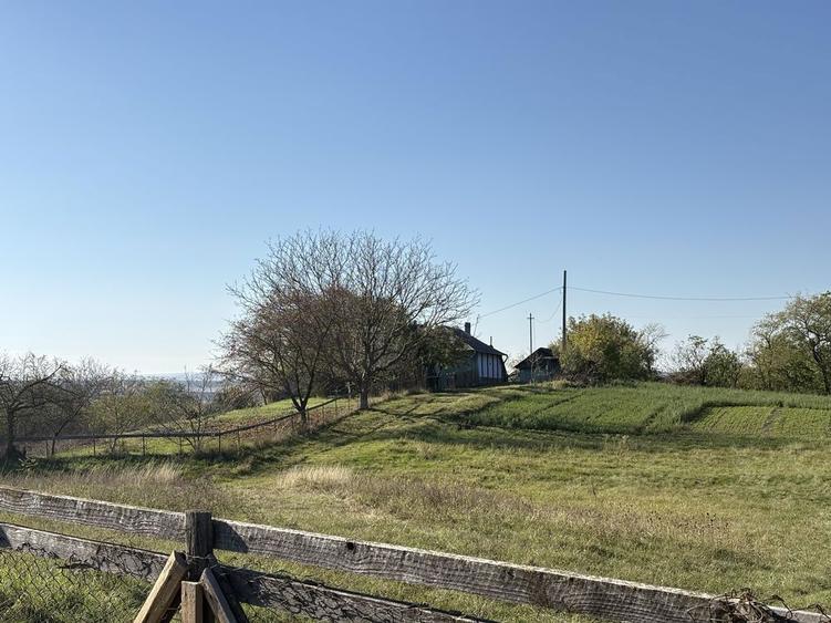 Vand casa batranesca - 8