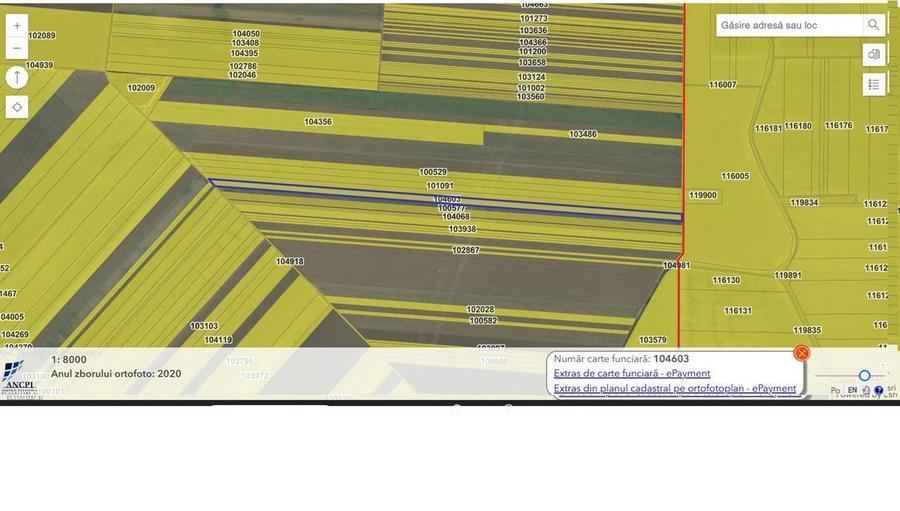 Vanzare teren agricol Jud Constanta - 4