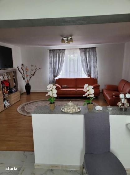 Casa cu teren de 46 ari, la 20 km de Baia Mare (Buzesti) - 9