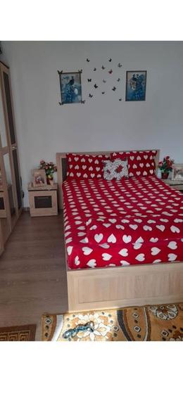 Casa cu 3 camere - 2