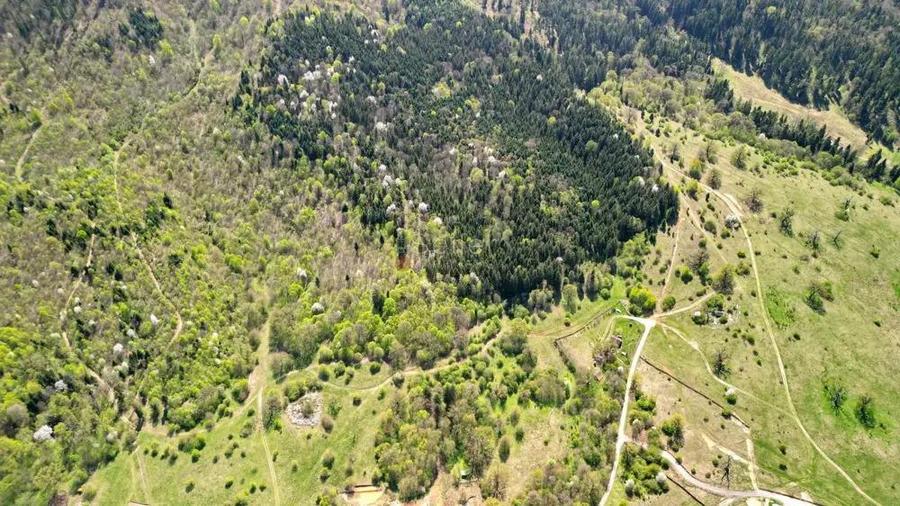 Teren Intravilan parcele 1000mp - 20