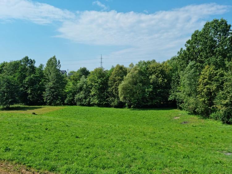 Teren intravilan 28ari, Rus - 6