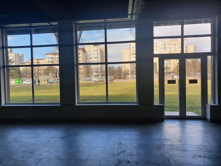 Spatiu comercial Nicolina - 5