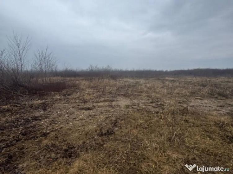 Teren extravilan Bu?ag 82 ari, plan drept, langa Lapu?, - 2