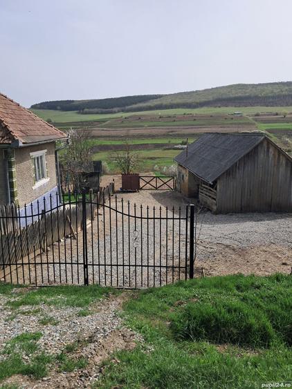 Vand casa la tara - 4