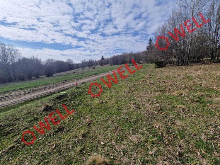 De vânzare teren extravilan în localitatea Brădet! - 4