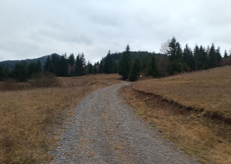 Teren intravilan 2000mp - 1