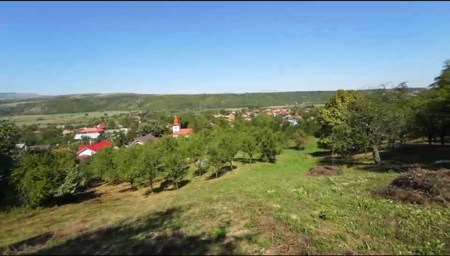 Teren Construcții intravilan de 10537 mp, în Filipești (Bogdănești)