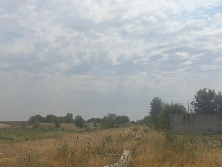 Teren agricol extravilan de 5000 mp, în Pielești