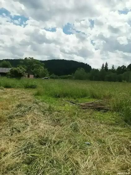 Teren de 5808 mp, în Valea Putnei
