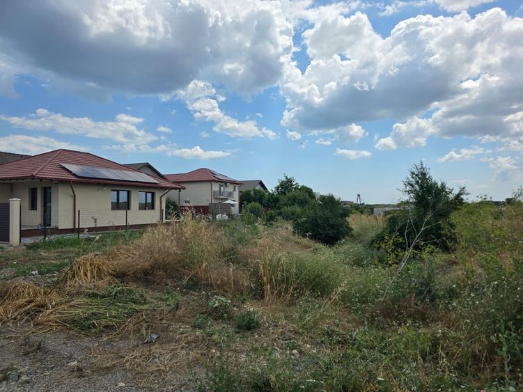 Teren Construcții intravilan de 14000 mp, în Lazu