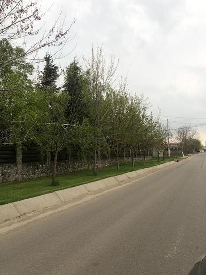 Spațiu comercial, în Central