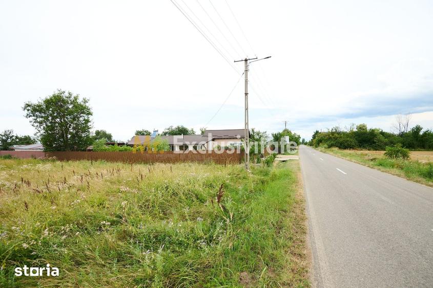 Casă cu 3 camere cu Teren 2881 Mp în Vedea