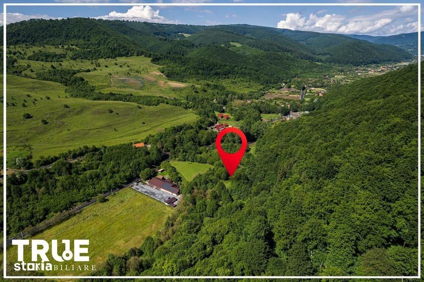 Spațiu comercial, în Câmpu Cetății