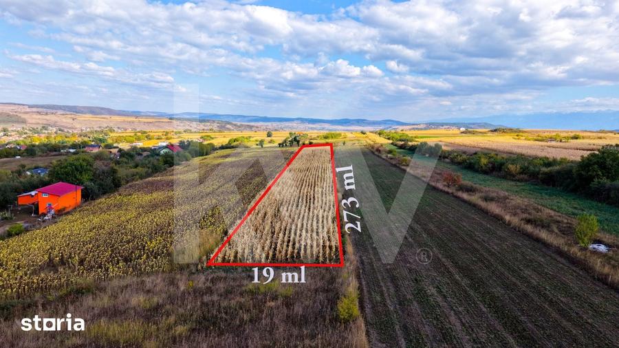 Teren de 5000 mp, în Câineni