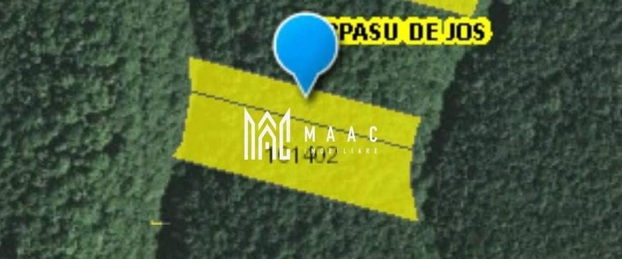 Teren agricol extravilan de 3100 mp, în Arpașu de Sus