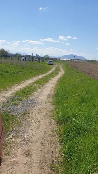 Teren de 1000 mp, în Colonia Bod