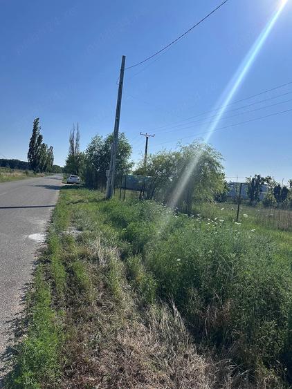 Teren de 1000 mp, în Bucovăț