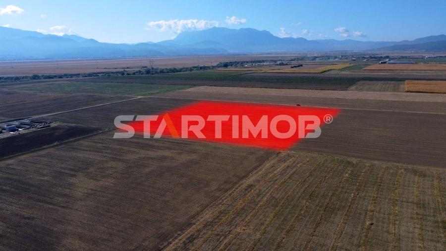 Teren agricol extravilan de 19739 mp, în Exterior Sud