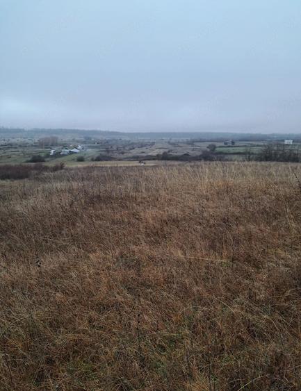 Teren de 10912 mp, în Crasna