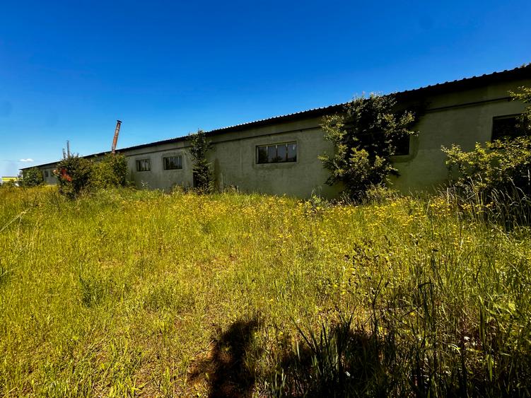 Spațiu industrial, de 1,700 mp, în Turcheș
