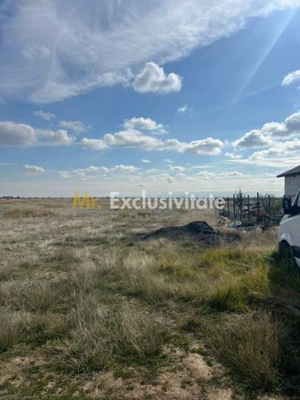 Teren de 10000 mp, în Albota