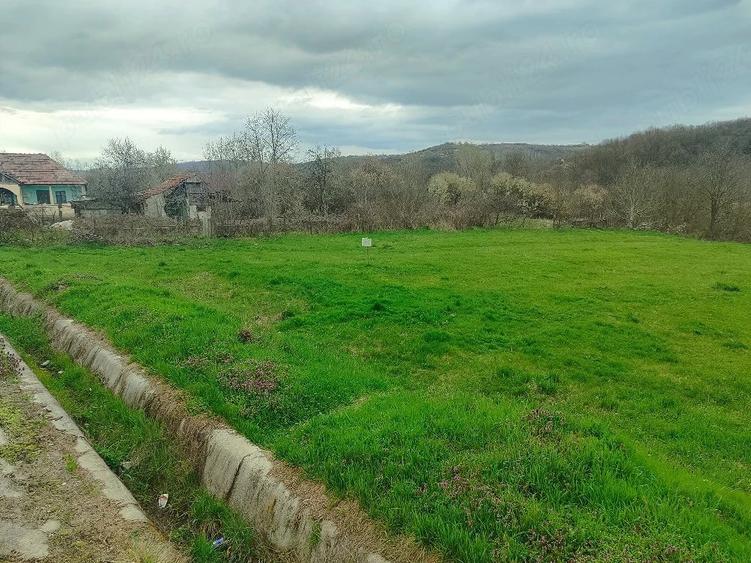 Teren de 3750 mp, în Verdea