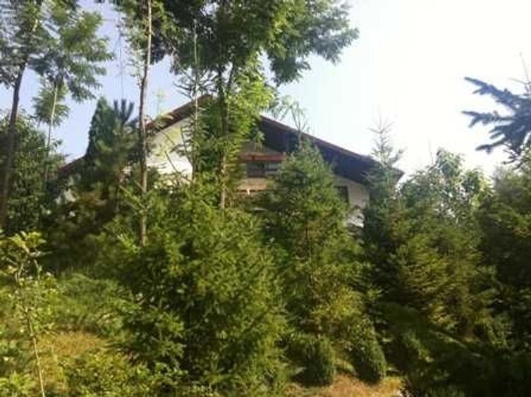 Casă cu 4 camere cu Teren 6200 Mp în Provița de Jos